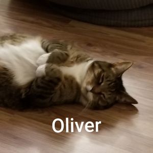 Meet your Posher, Beth